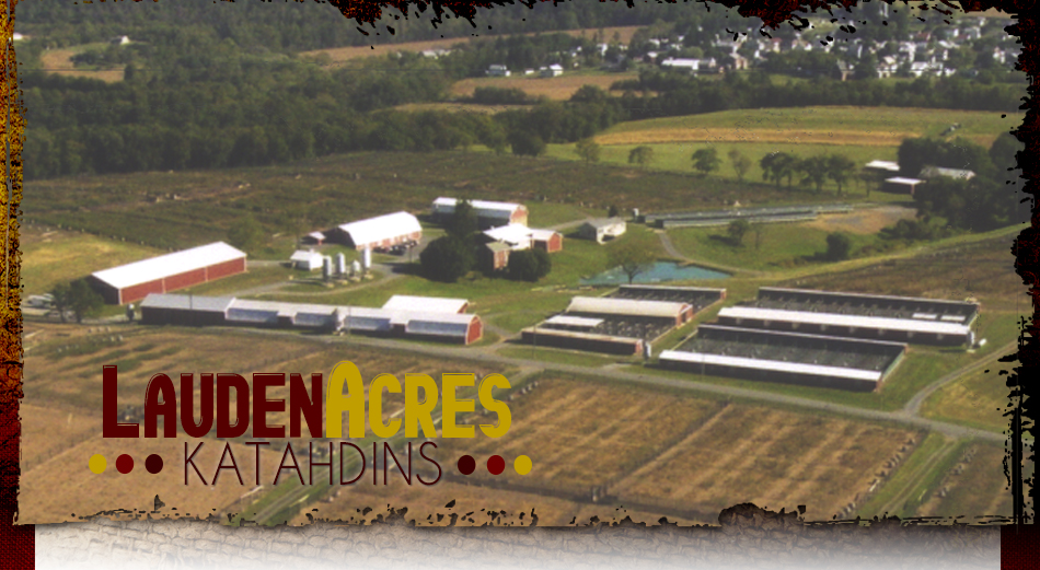 Lauden Acres